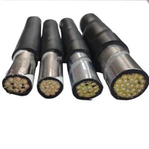 instrument cable ZR-DJYPVP22